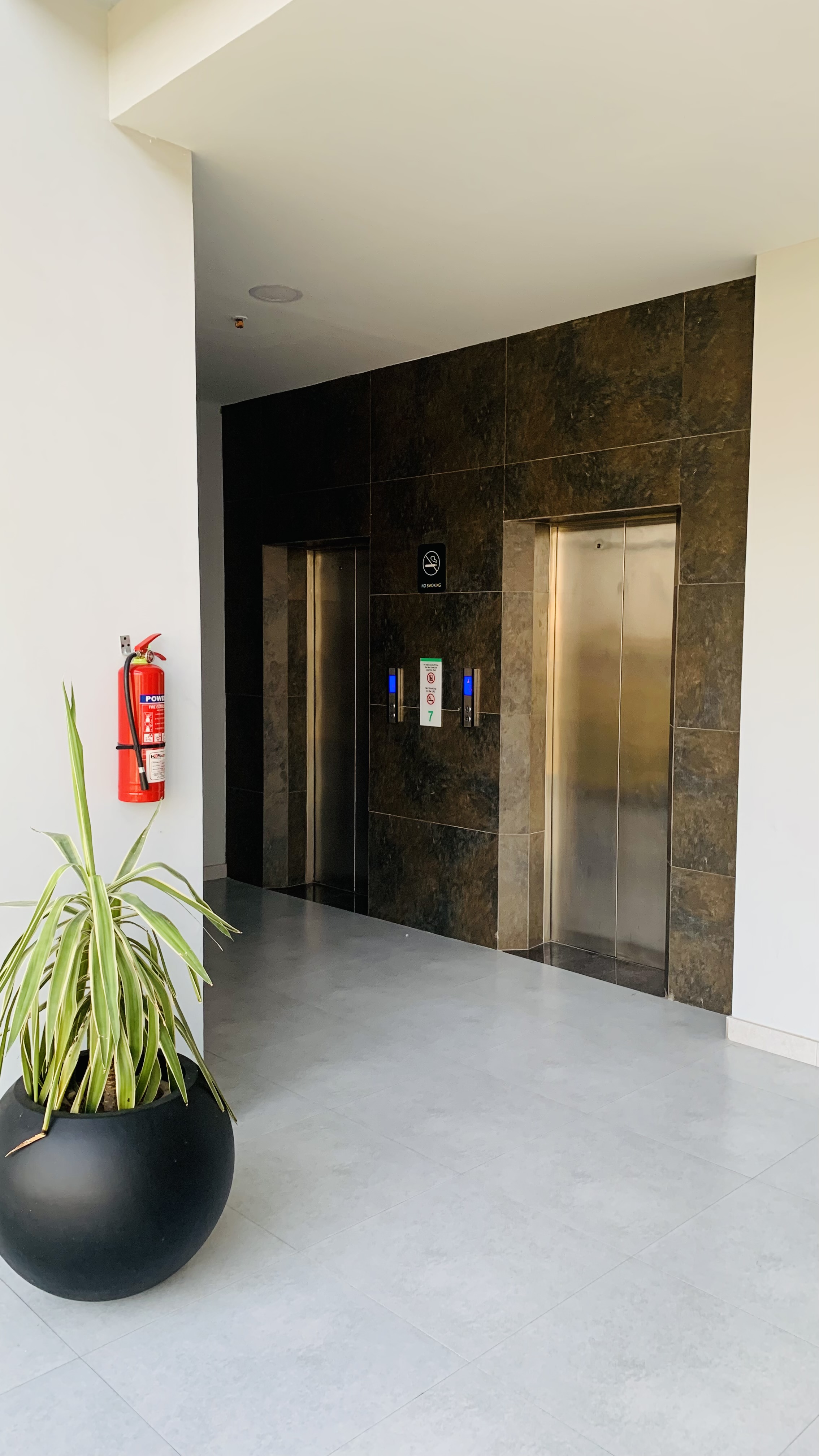 Modern 2bhk apartment with open kitchen