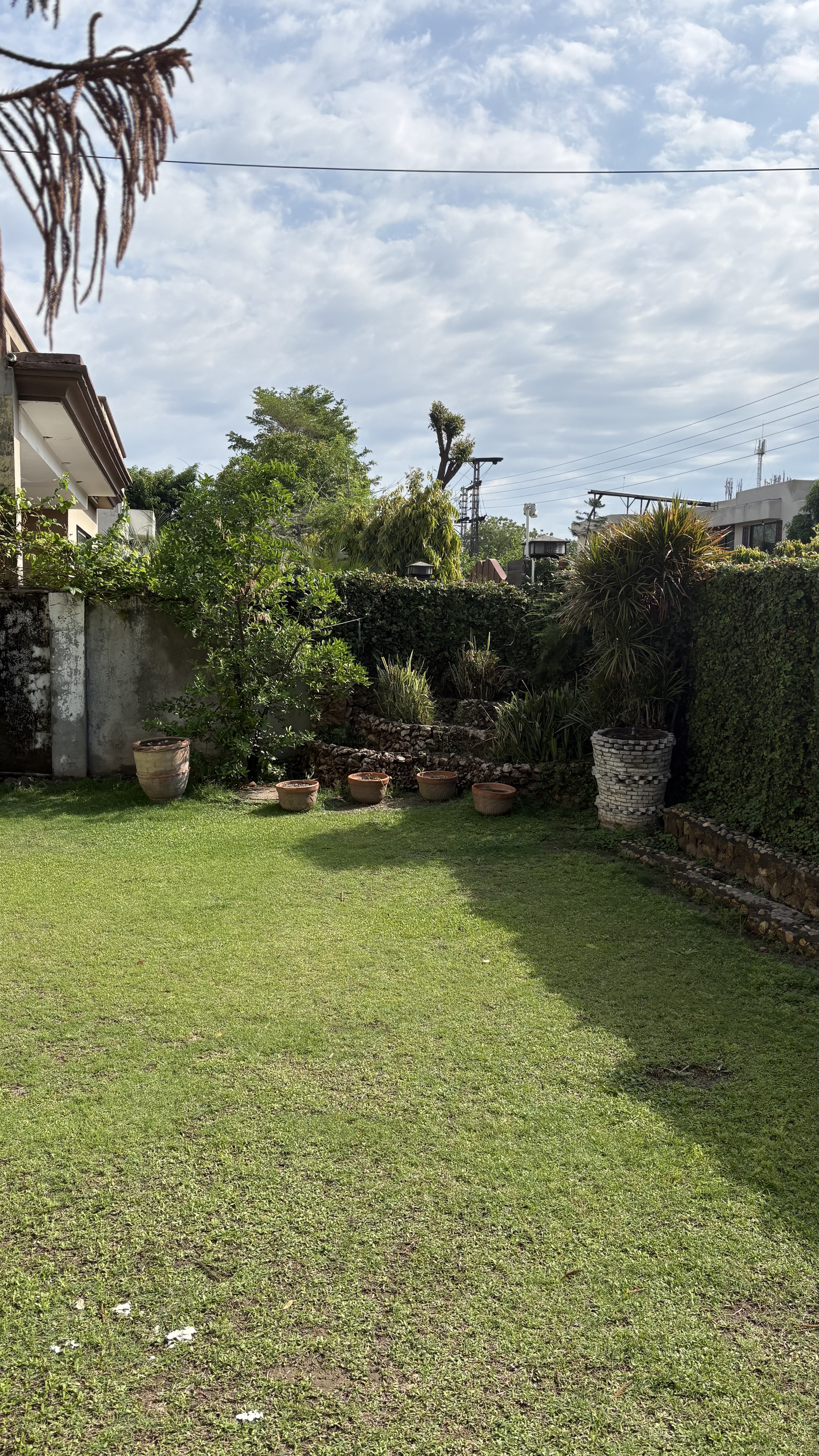 lawn space