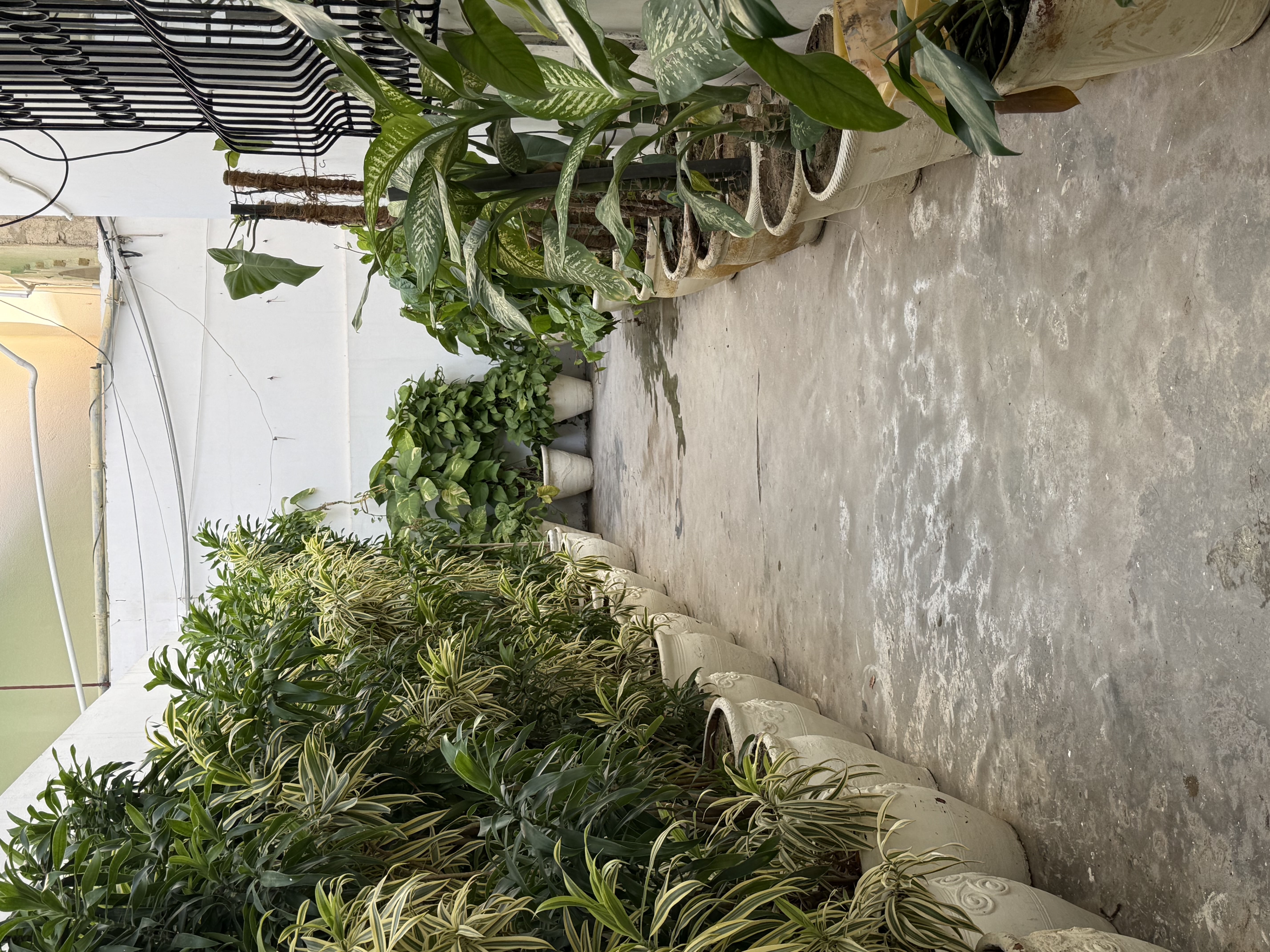 Private Garden