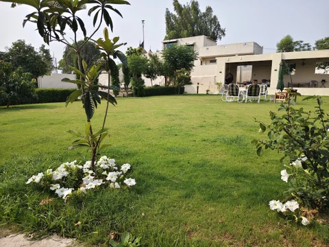 Big Modern Garden with shed sitting space