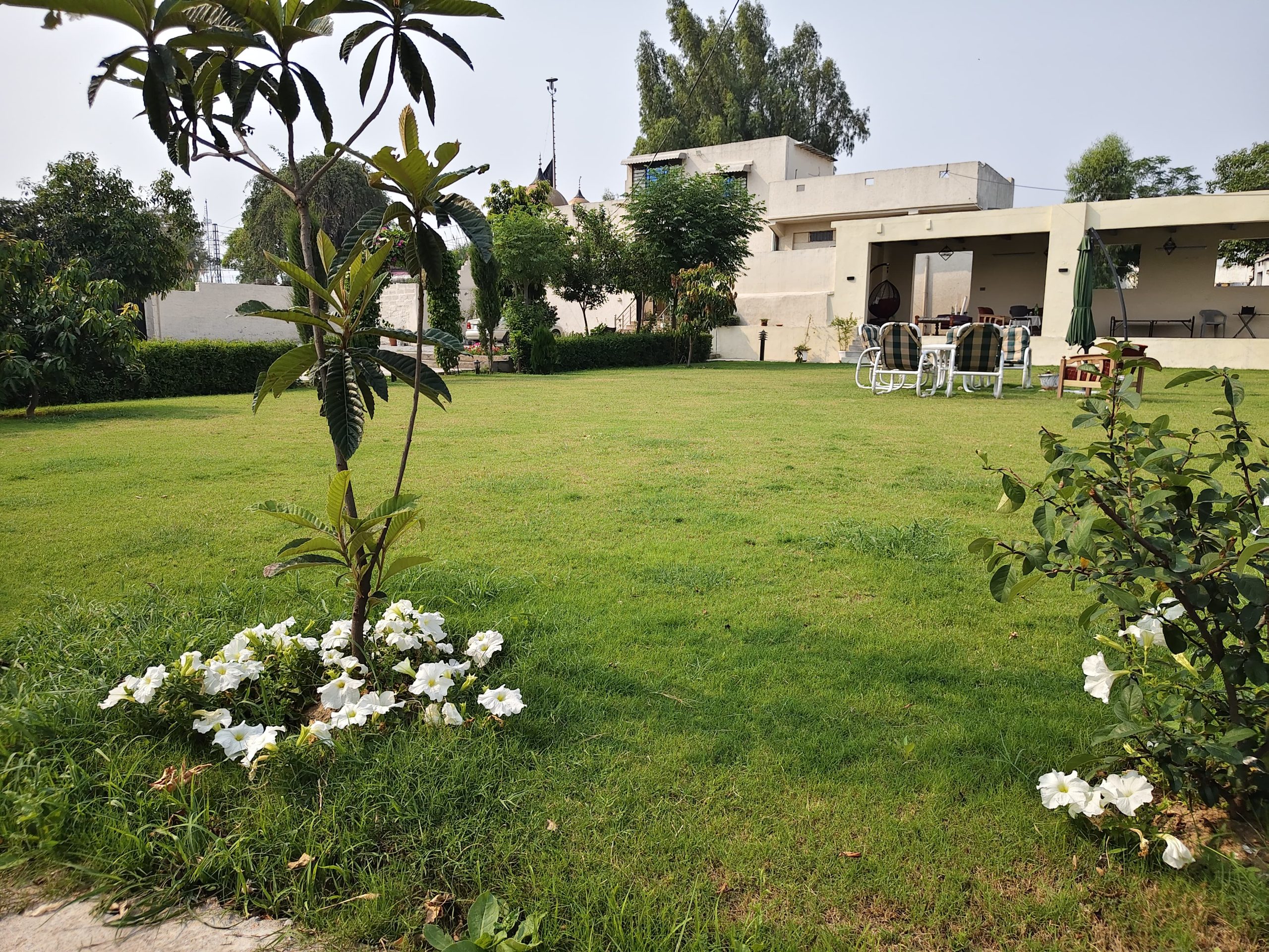 Big Modern Garden with shed sitting space