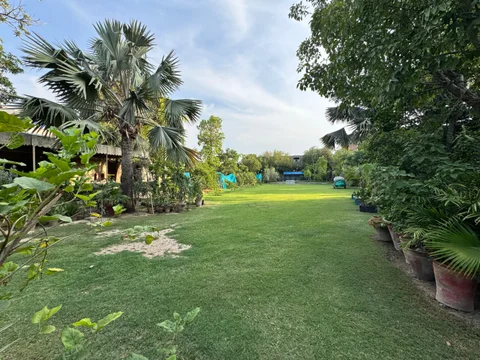 Faisalabad Spaces