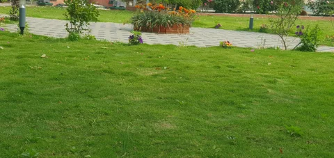 Miangano Bagh – Private Farmhouse & Family Retreat